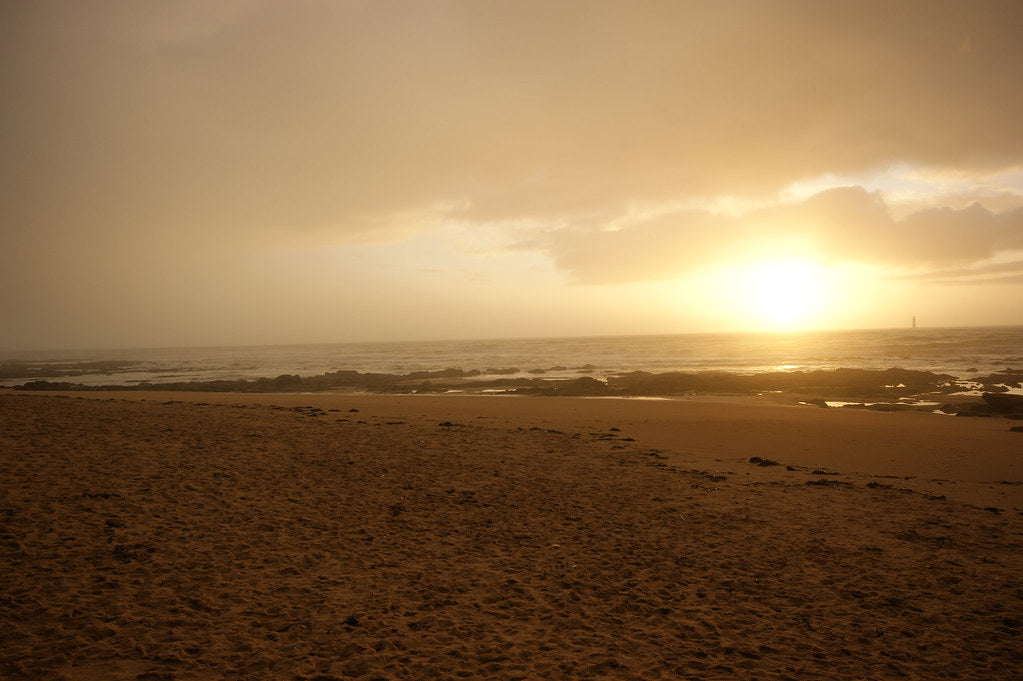 La plage de la Paracou, un havre sauvage au cœur de la dune